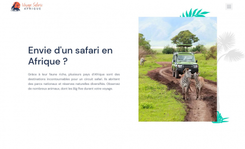 https://www.voyage-safaris-afrique.com